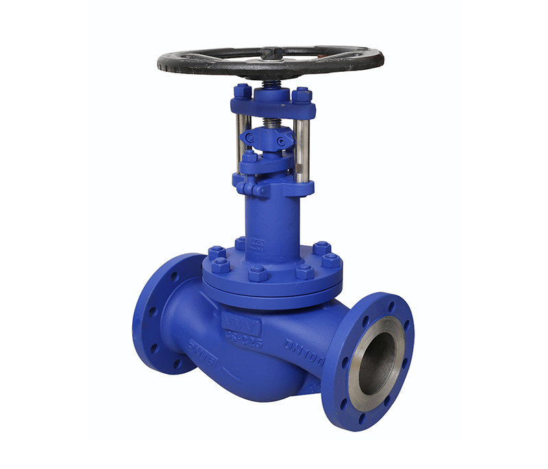 Din standard bellows seal ptfe lined cast iron globe valve for steam